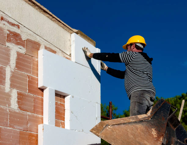 Best Blown-in Insulation  in Cheviot, OH