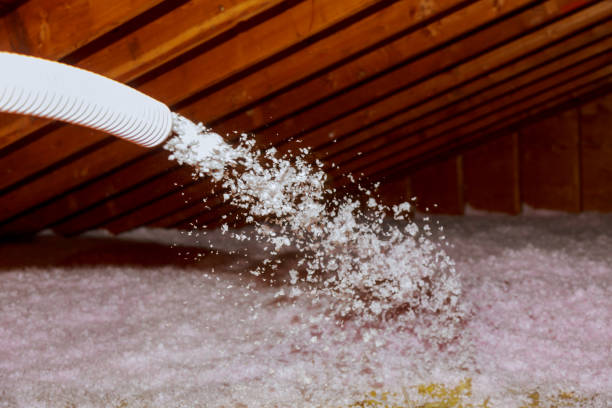 Best Affordable Insulation Services  in Cheviot, OH