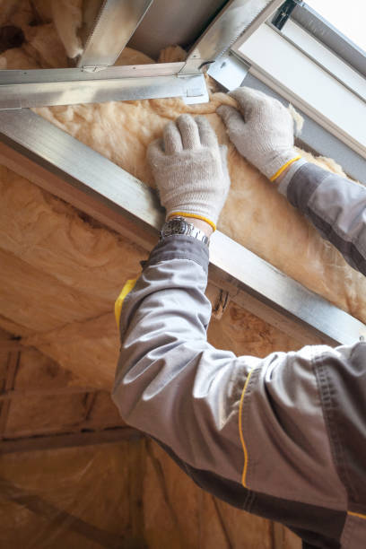 Best Blown-in Insulation  in Cheviot, OH