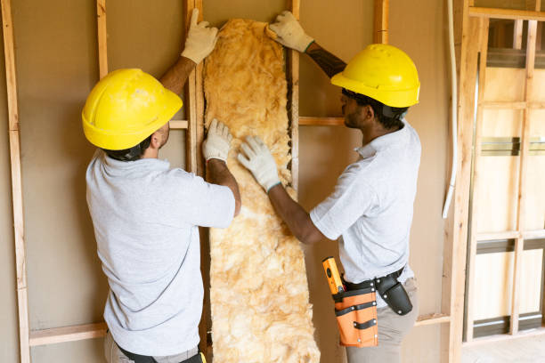 Best Spray Foam Insulation  in Cheviot, OH