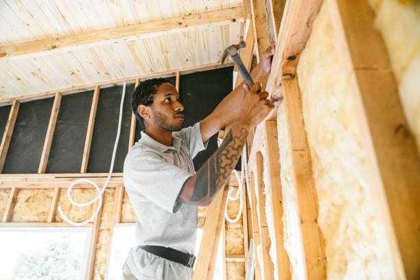 Insulation Repair Services in Cheviot, OH
