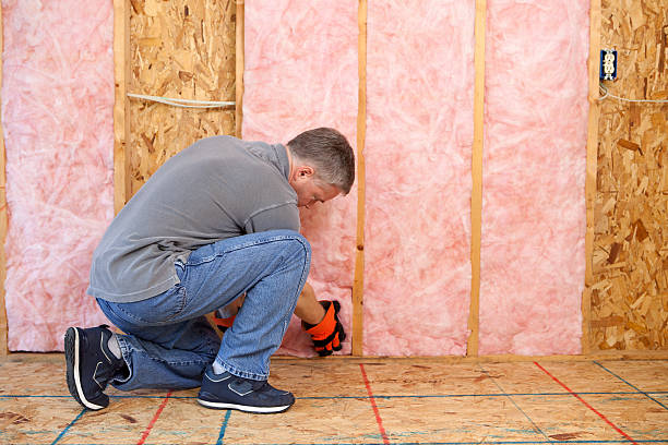 Best Attic Insulation Installation  in Cheviot, OH