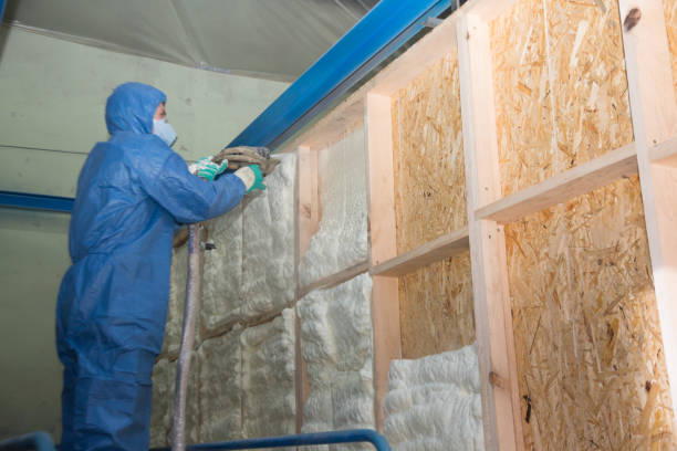 Best Fiberglass Insulation  in Cheviot, OH