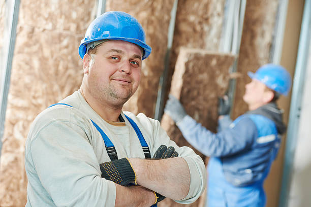 Best Local Insulation Services  in Cheviot, OH
