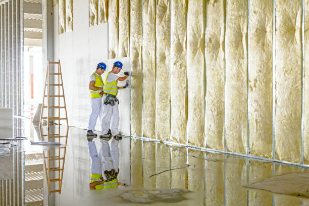 Best Residential Insulation Services  in Cheviot, OH
